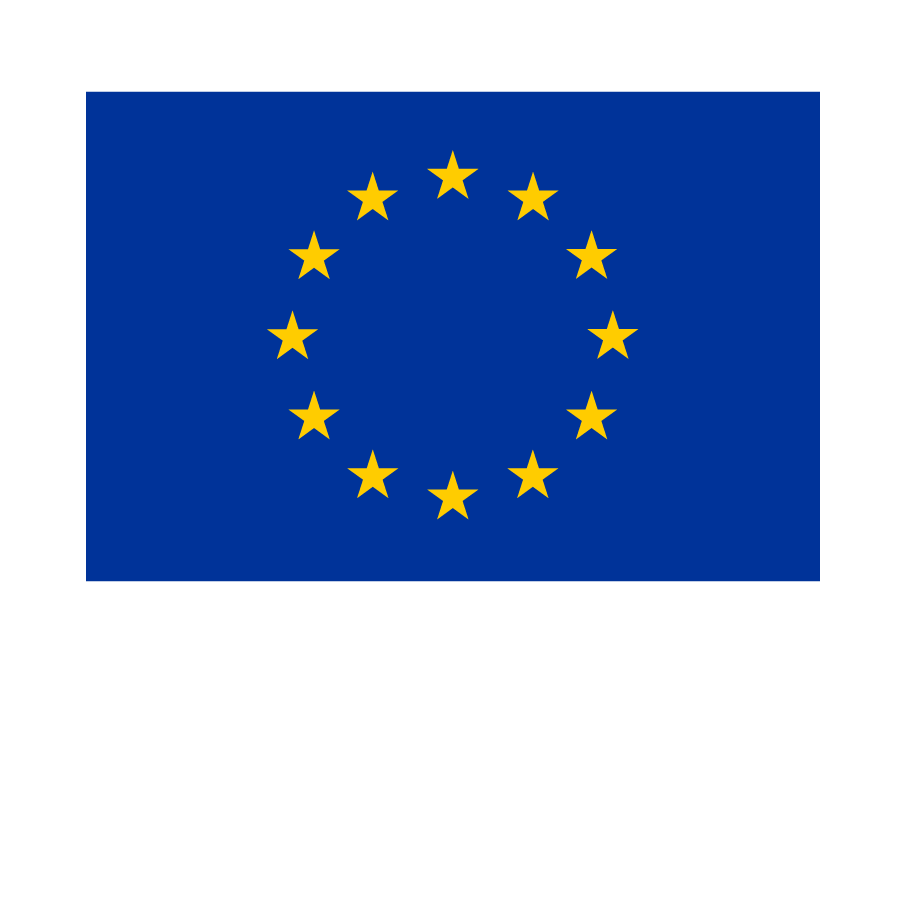 Financiado Unión Europea